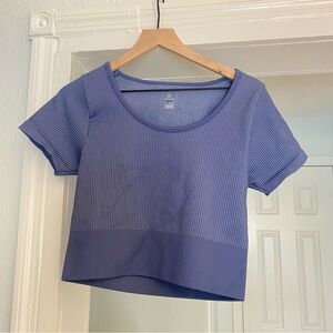 Aerie Indigo Ribbed Crop Top